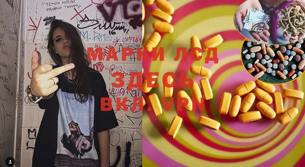индика Майский