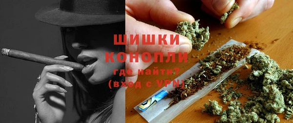 индика Майский