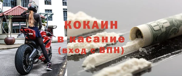 индика Долгопрудный